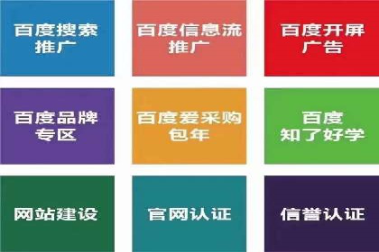 SEM竞价代运营：案例展示广告投放优化技巧